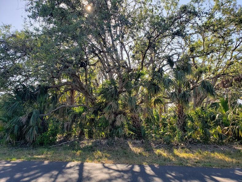 15492 Chamberlain Blvd Property Photo 3