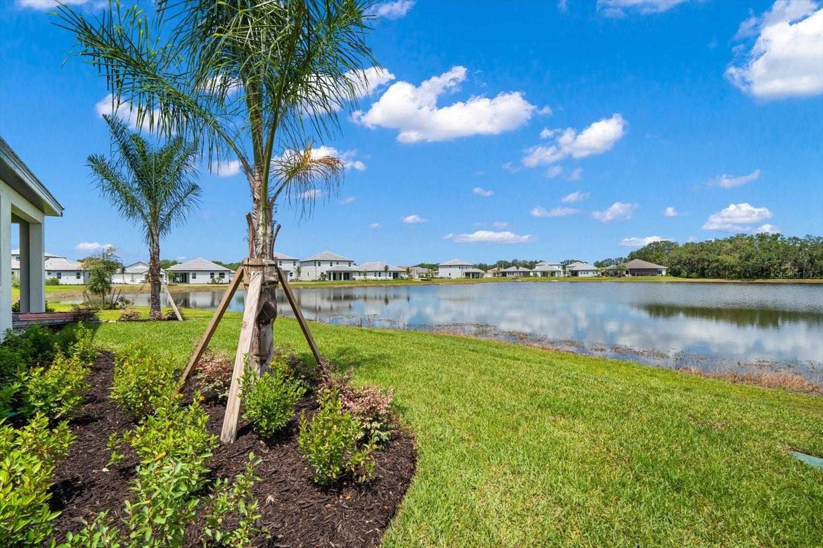 3512 Wild Blossom Place Property Photo 10