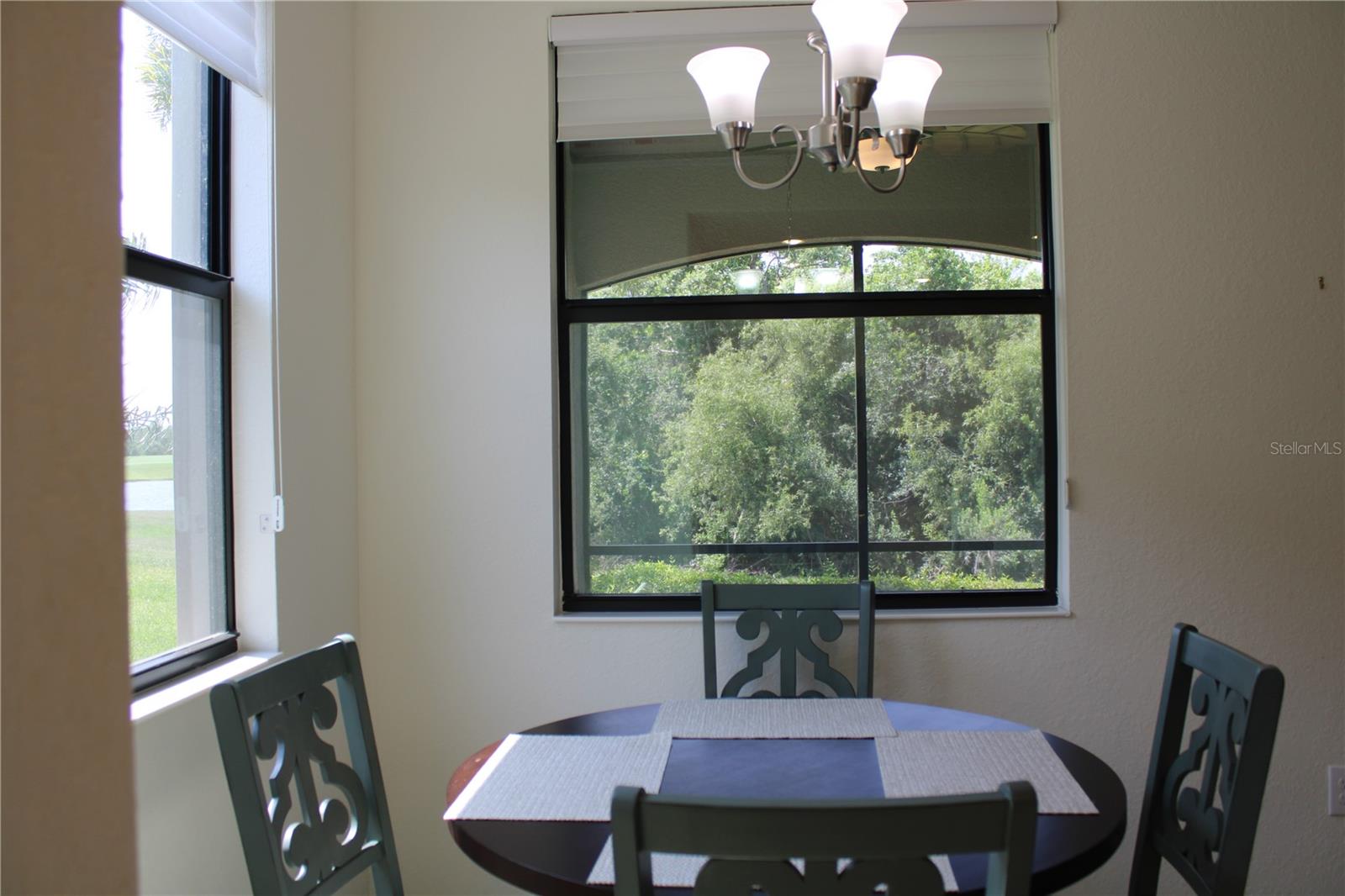 5831 Wake Forest Run #101 Property Photo 6
