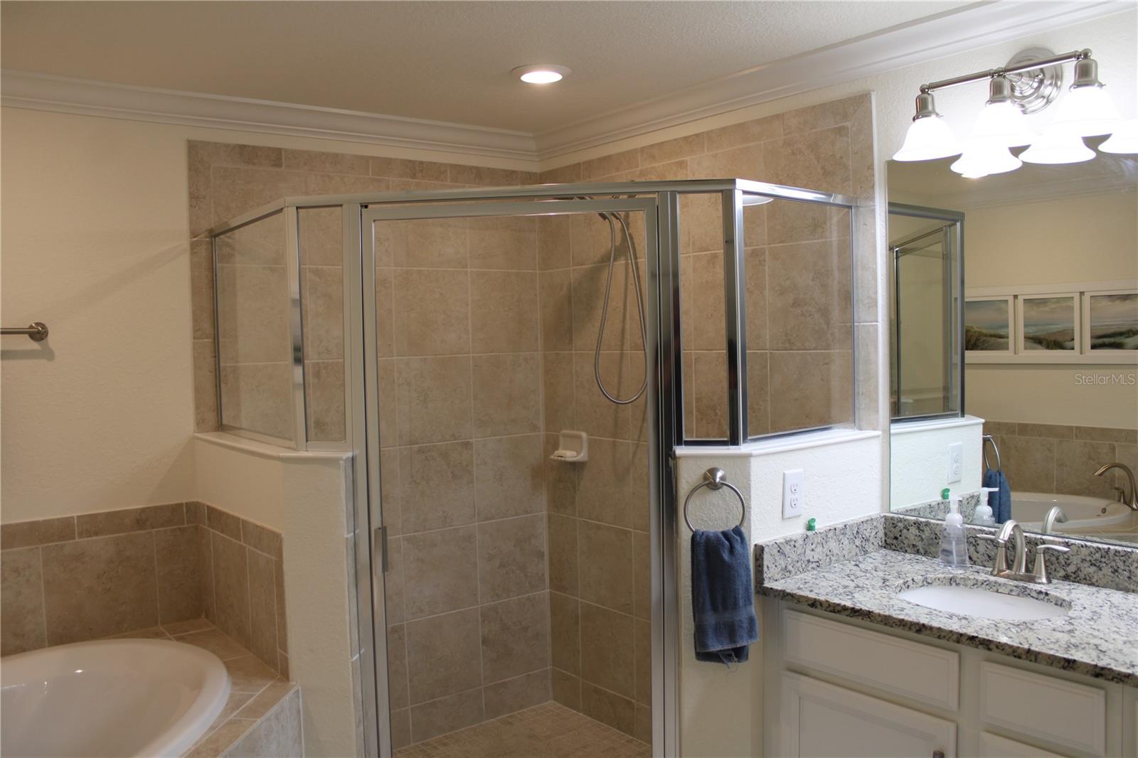 5831 Wake Forest Run #101 Property Photo 20