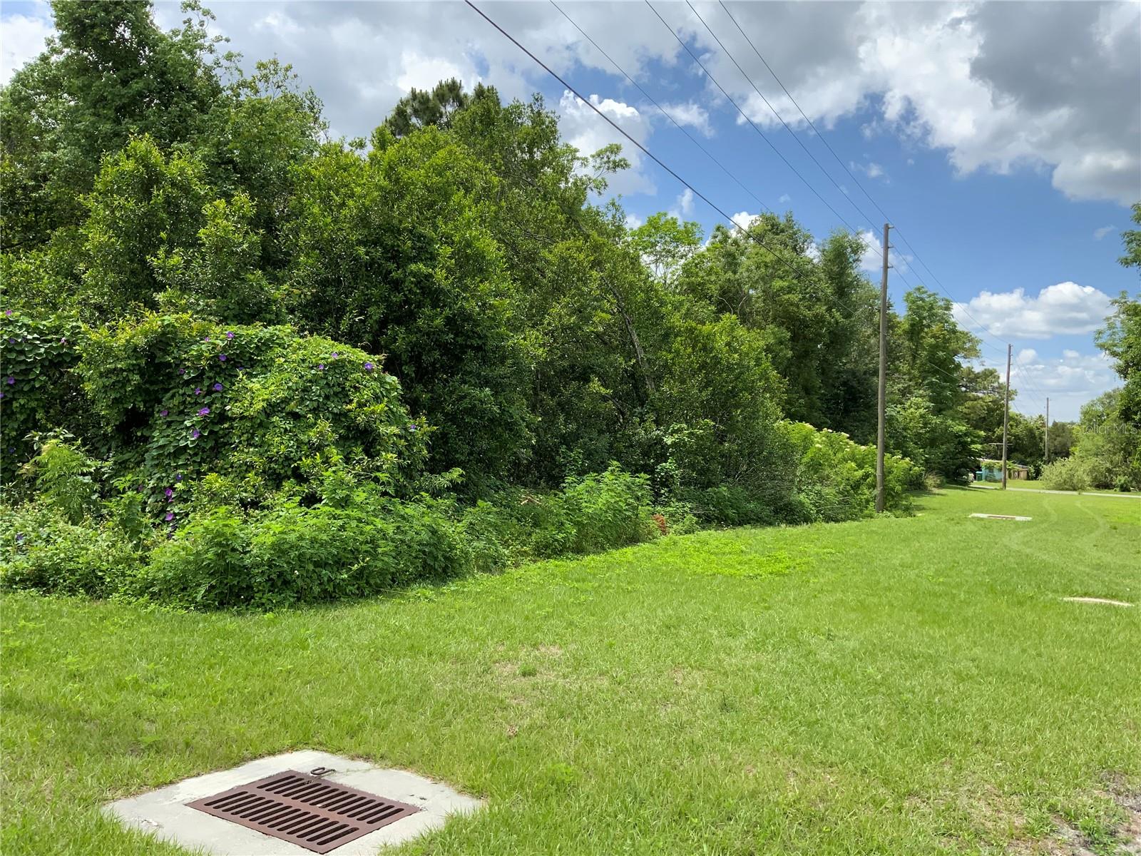 Hastings Dr Property Photo 13
