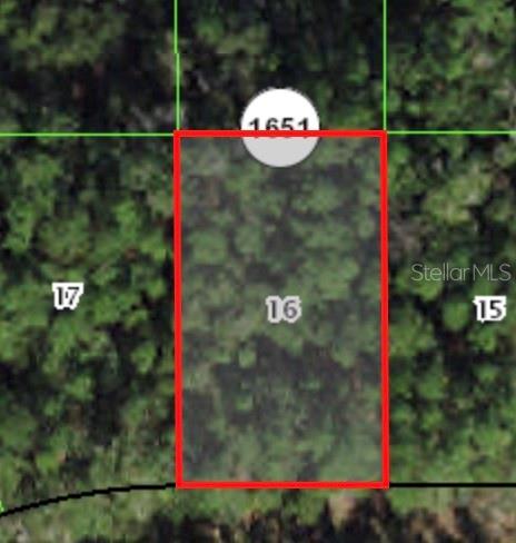 225 E Enfield Ln Property Photo 1