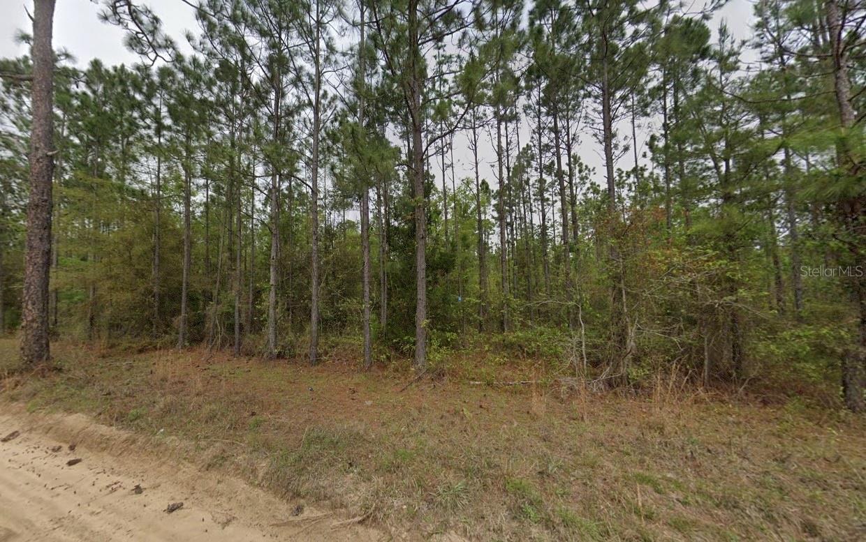 5999 Blocker Road Property Photo 2