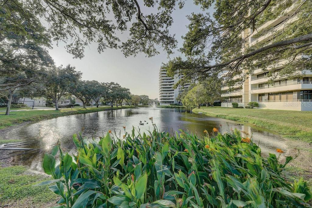 5940 Pelican Bay Plz S #1102 Property Photo 62