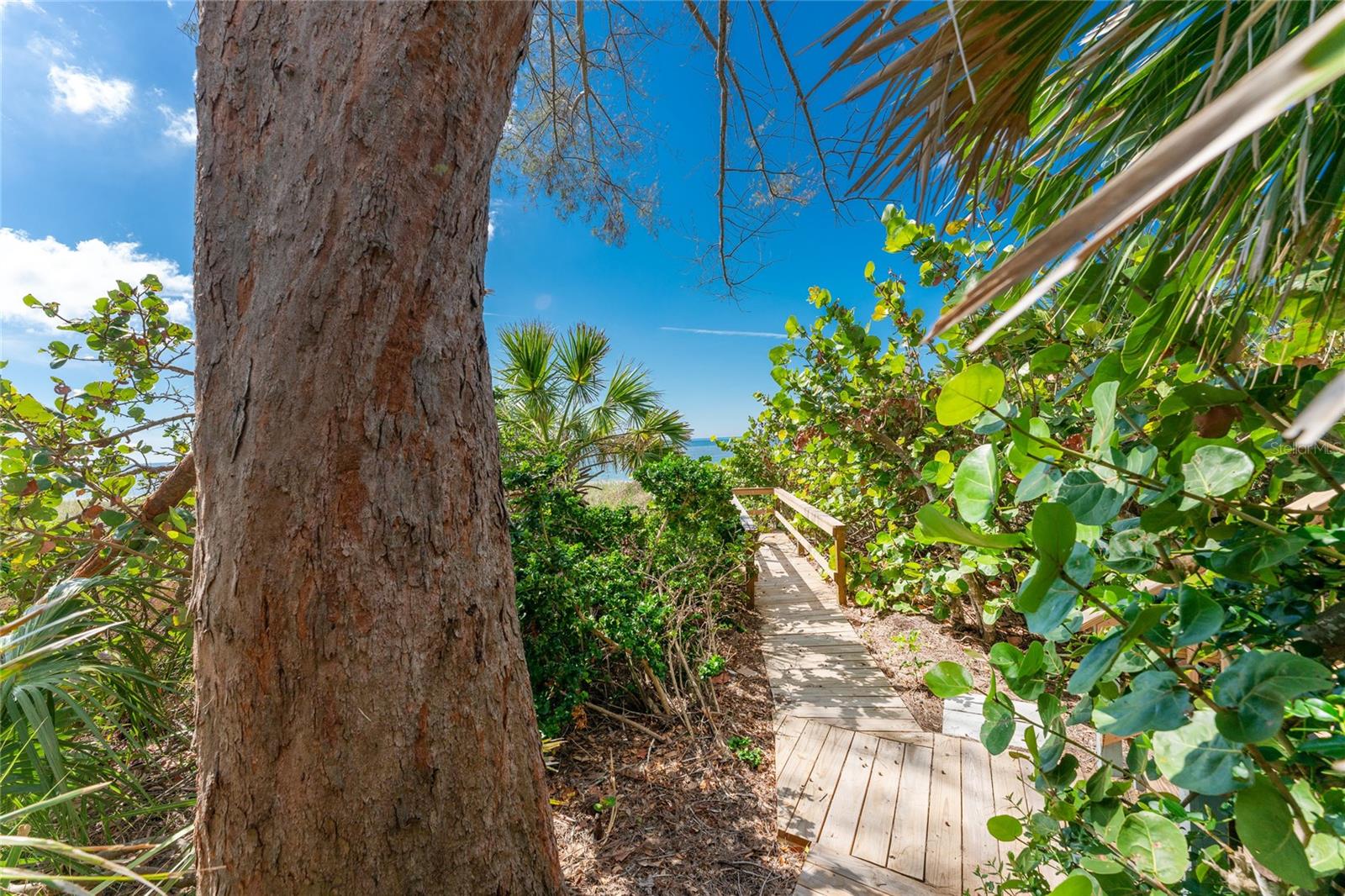 6580 Manasota Key Rd Property Photo 24