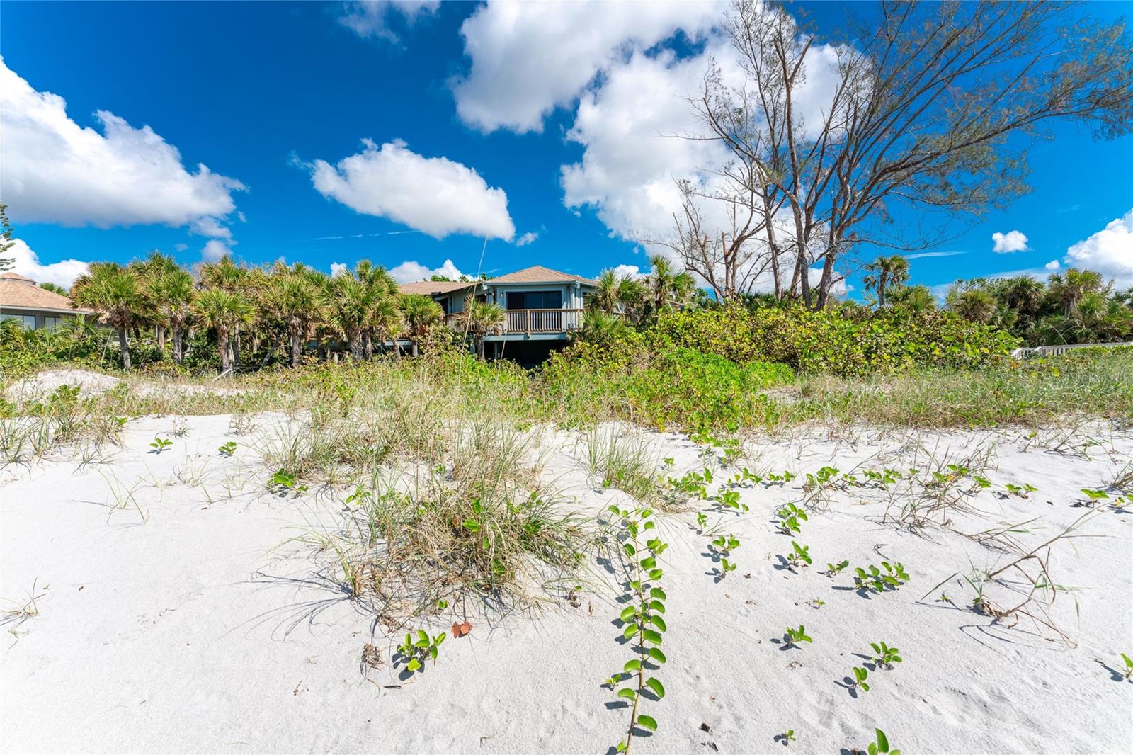 6580 Manasota Key Rd Property Photo 49