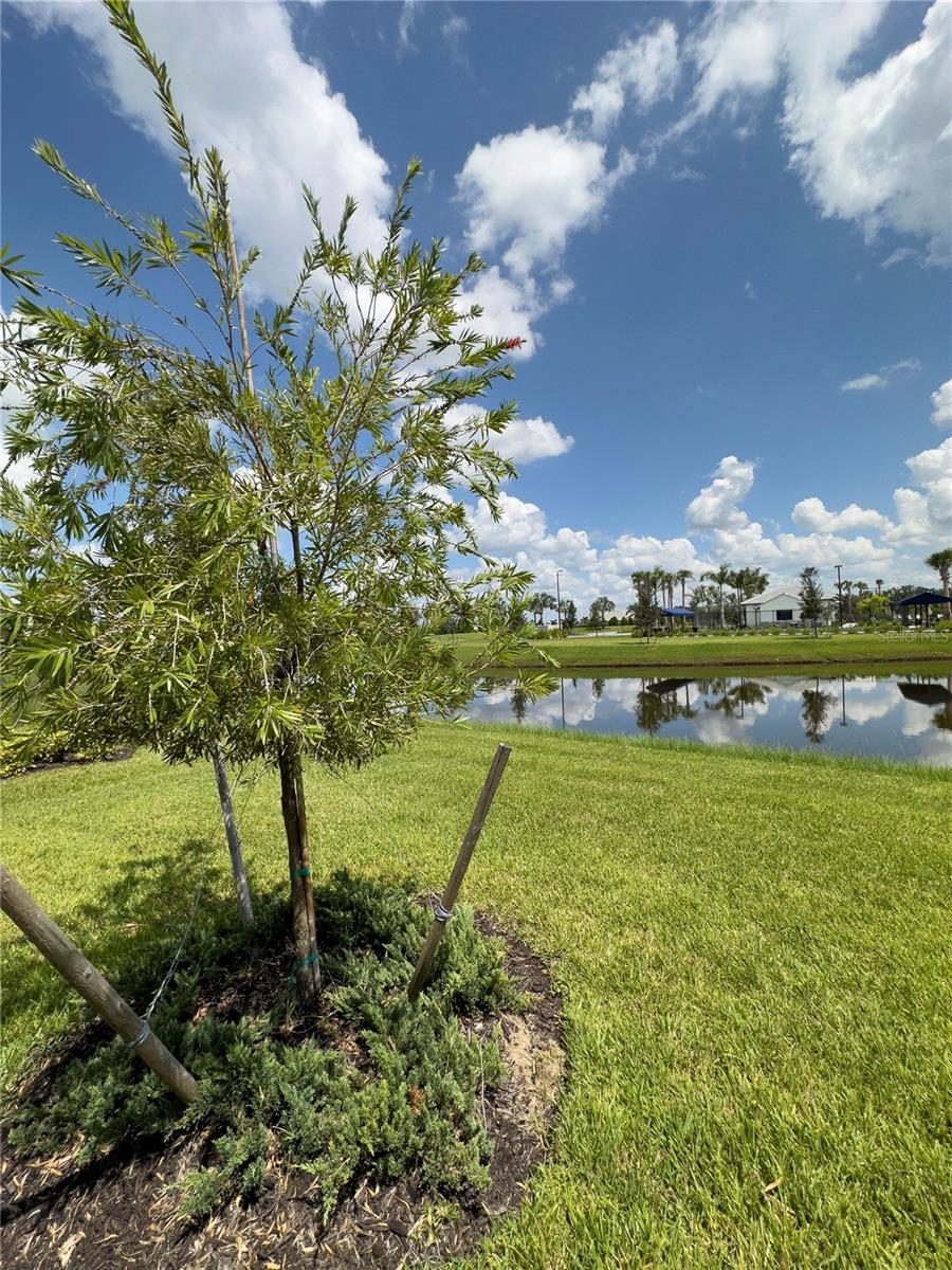 17881 Cherished Loop Property Photo 23