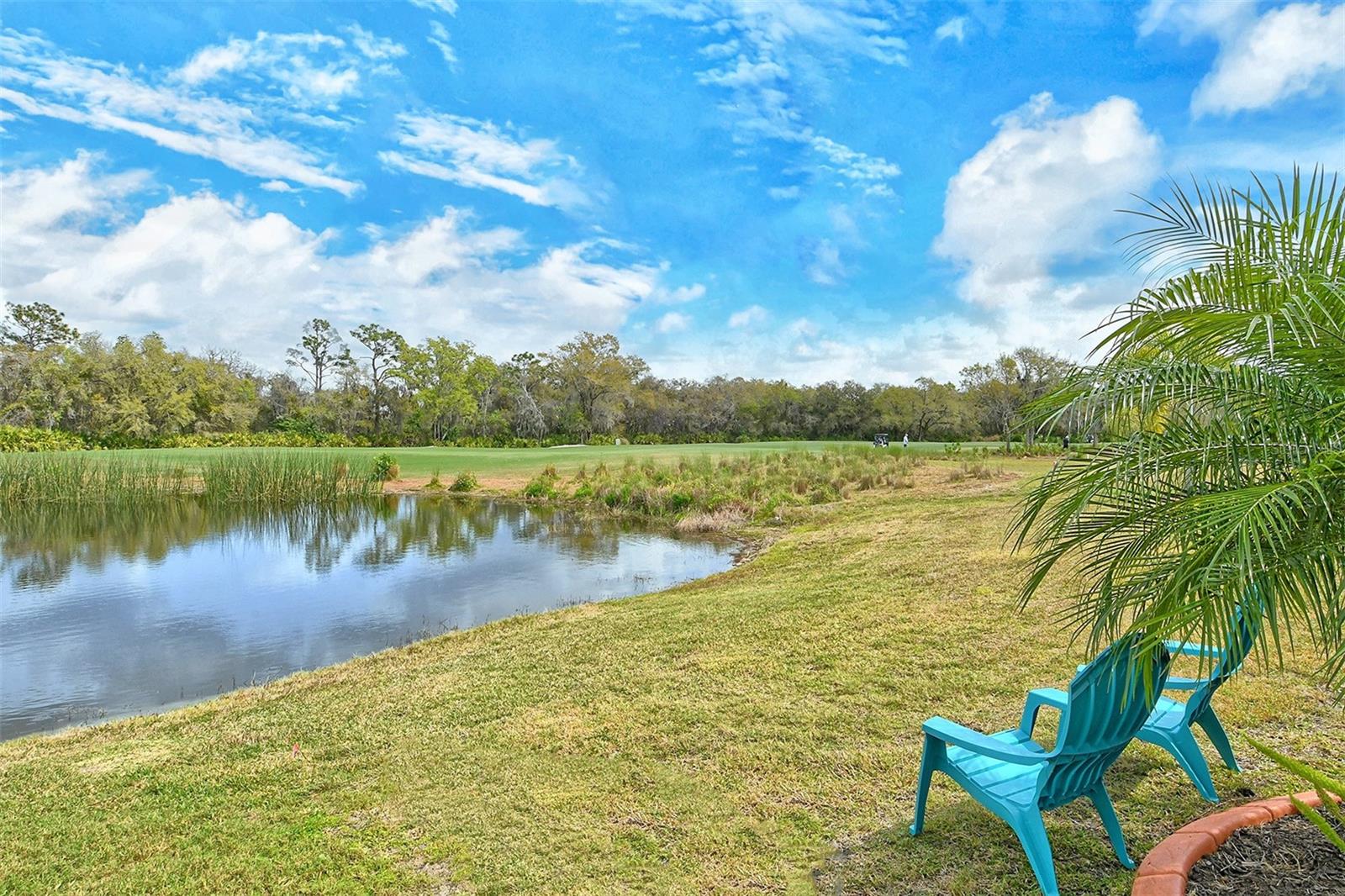 4735 Cabreo Ct Property Photo 60