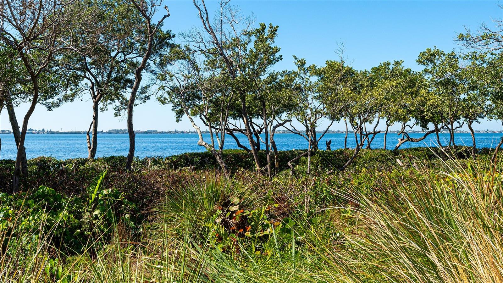 280 Saint Lucia Dr #101 Property Photo 38