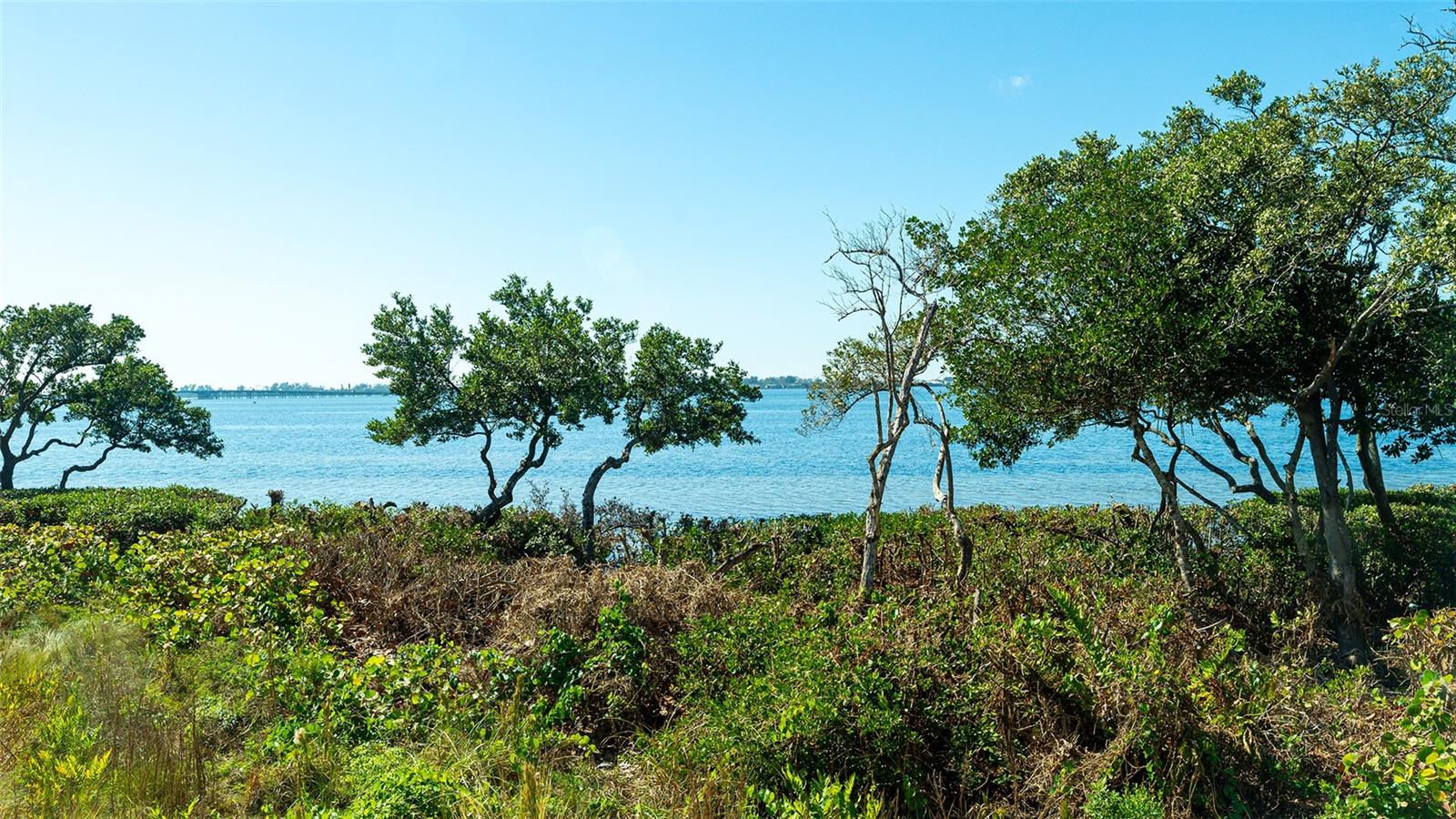 280 Saint Lucia Dr #101 Property Photo 40