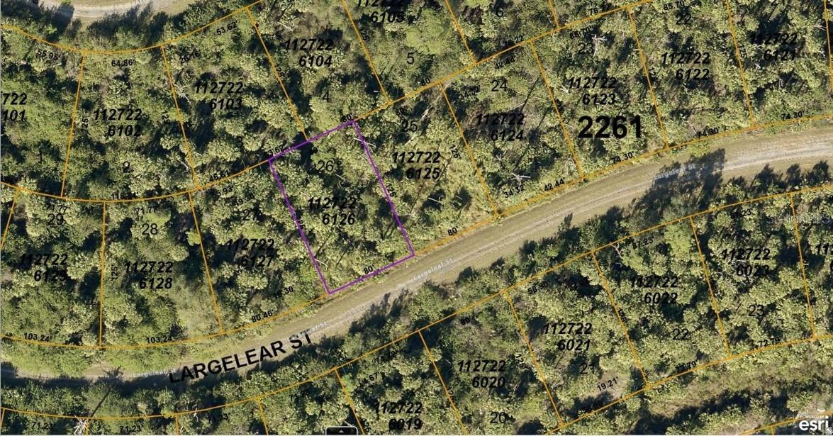 1127226126 Largeleaf St Property Photo 1