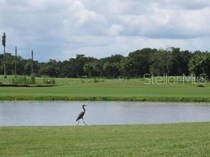 2725 Terra Ceia Bay Blvd #203 Property Photo 38