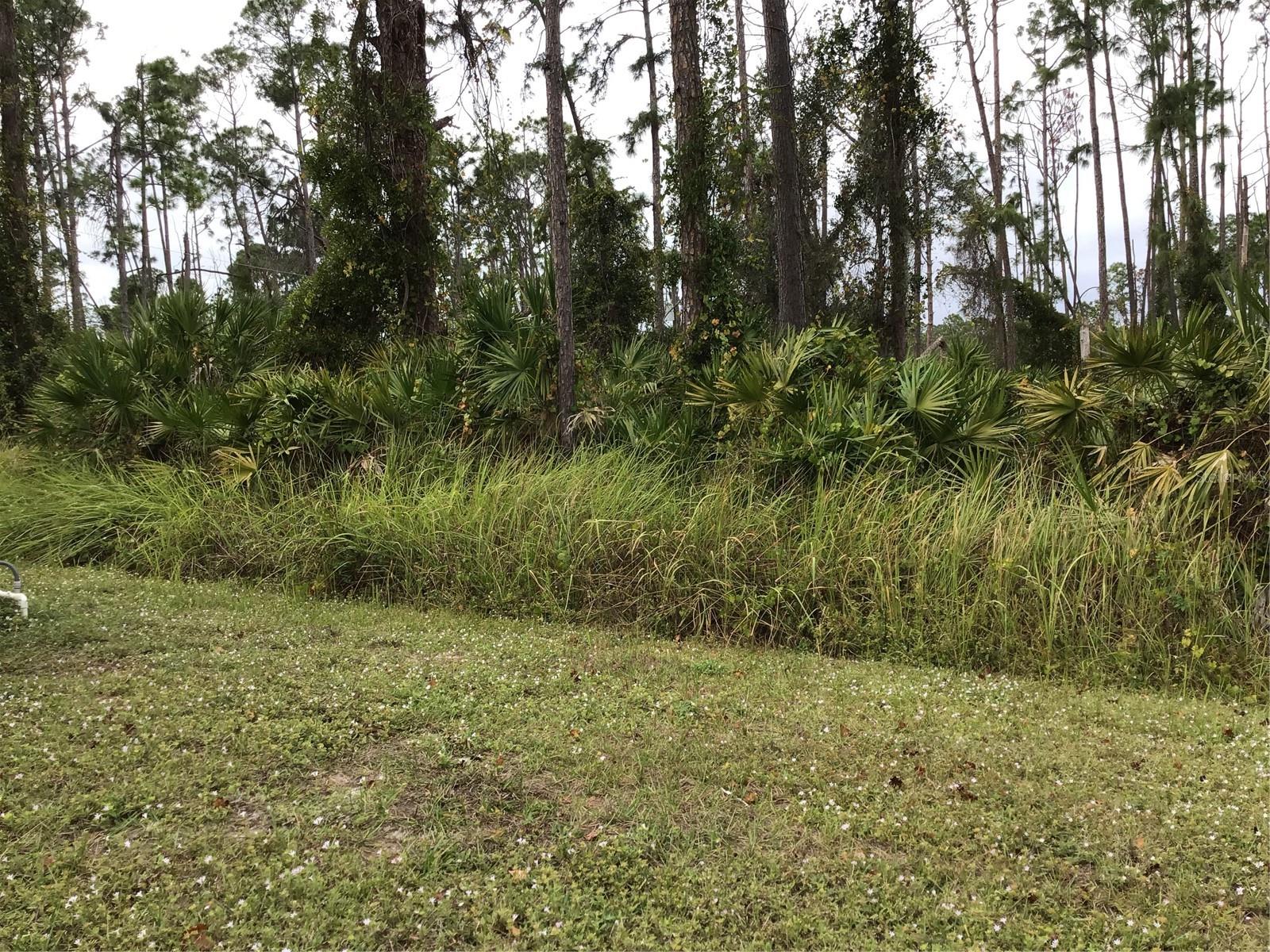 1562 Jakway Rd Property Photo 29