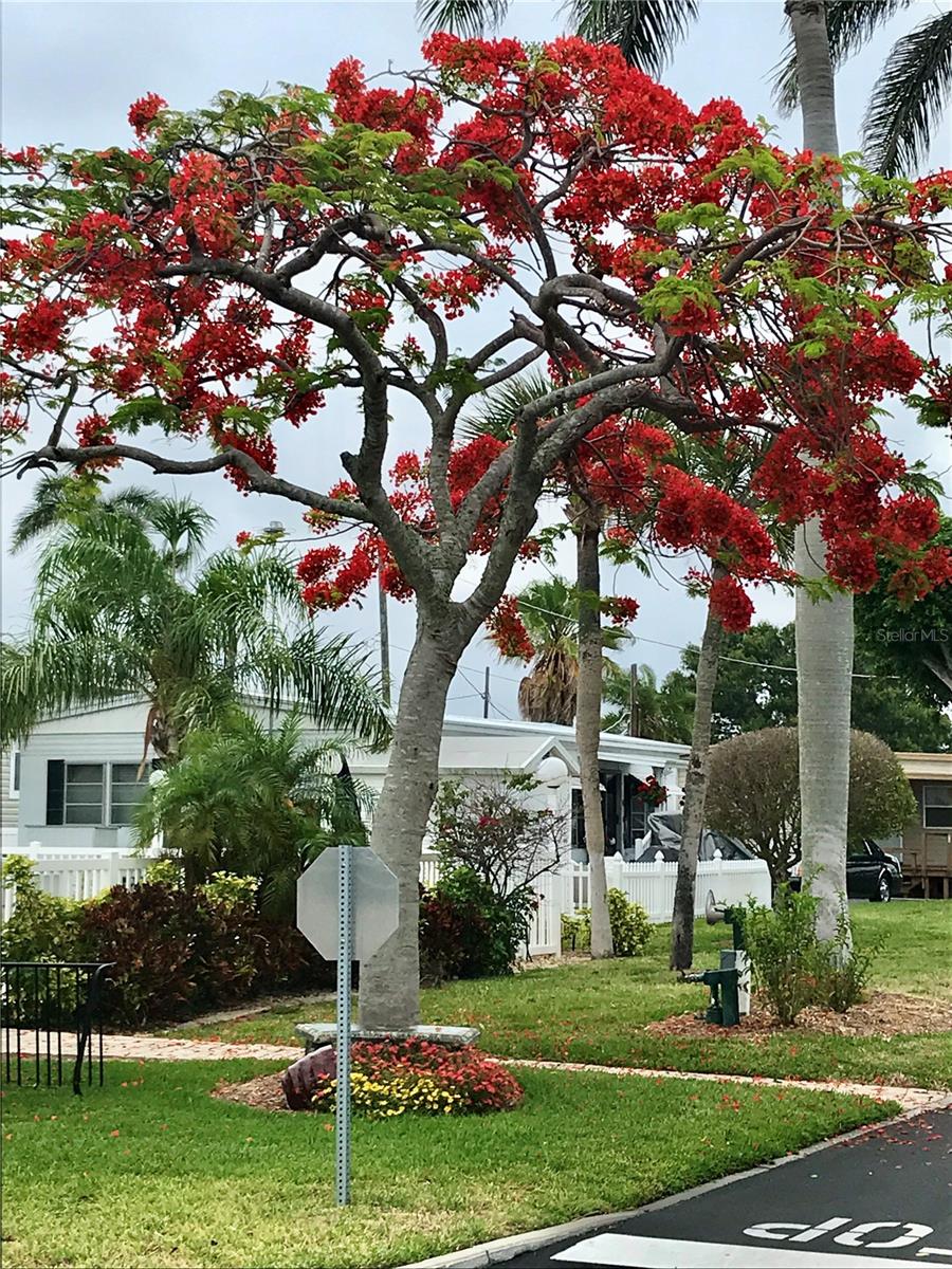 3710 Gulf Of Mexico Dr #e3 Property Photo 9