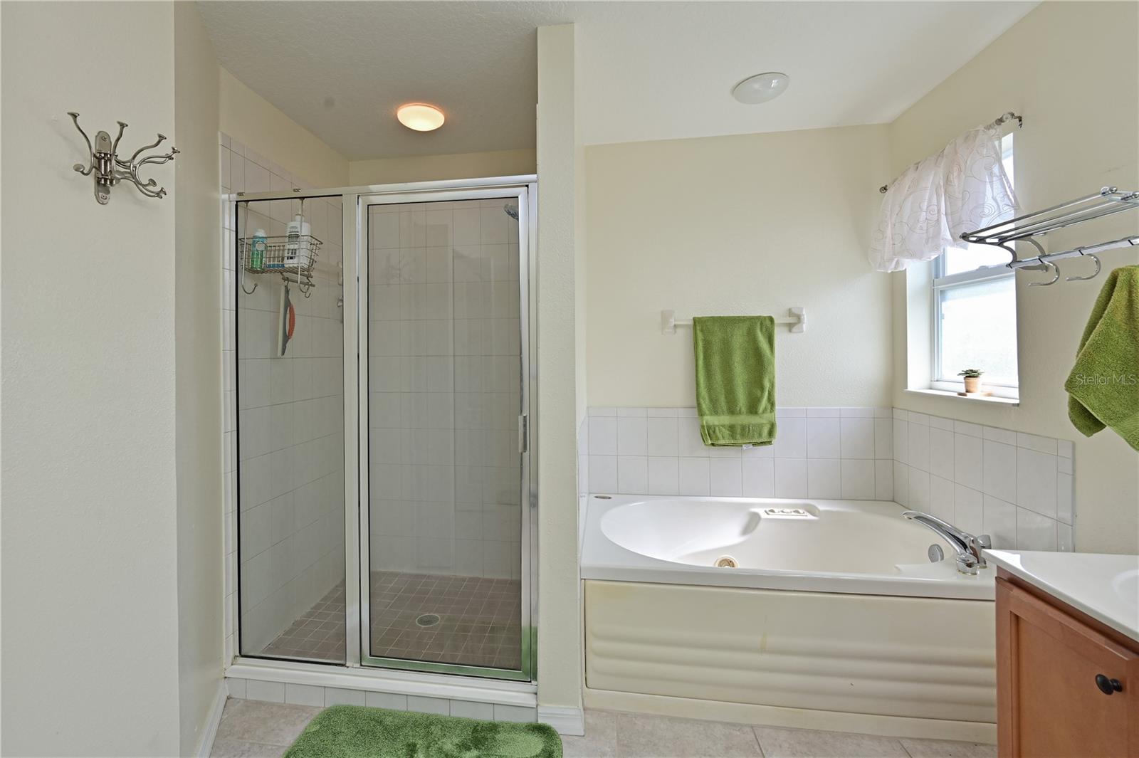 8108 Haven Harbour Way Property Photo 29