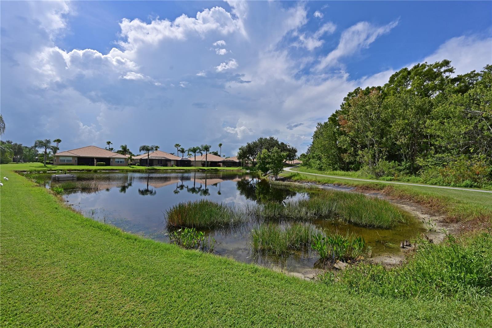 8108 Haven Harbour Way Property Photo 36