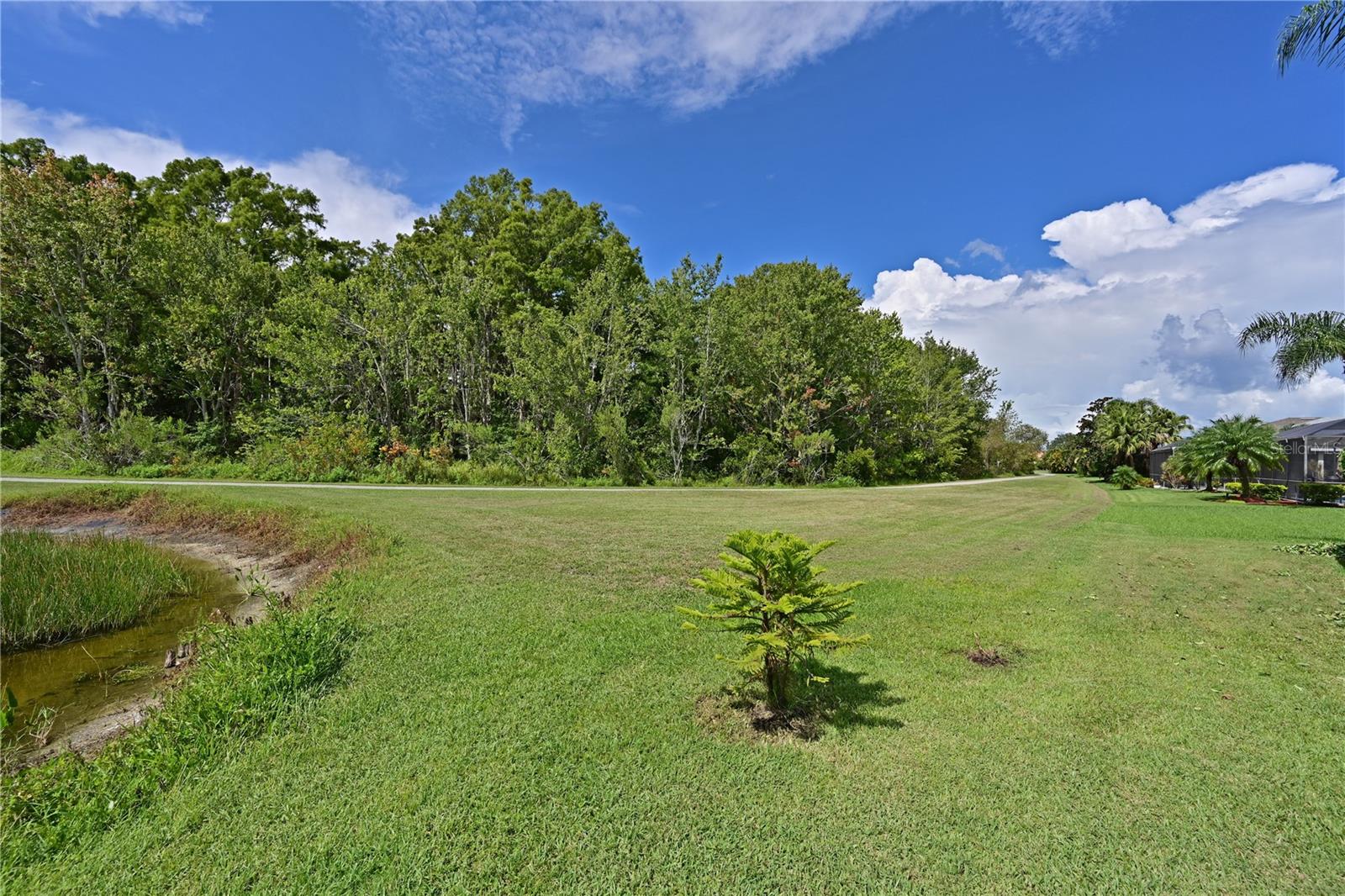8108 Haven Harbour Way Property Photo 37