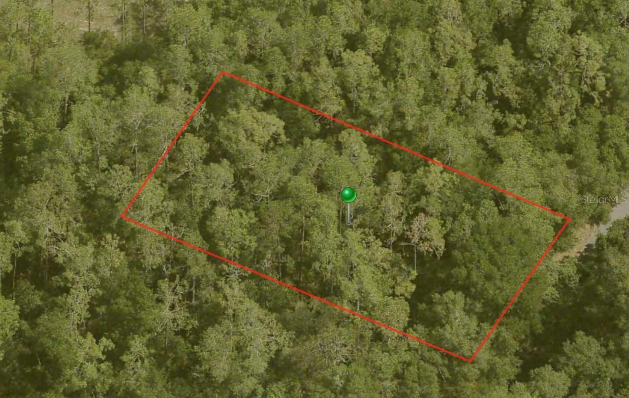 10170 N Abby Dr Property Photo 1