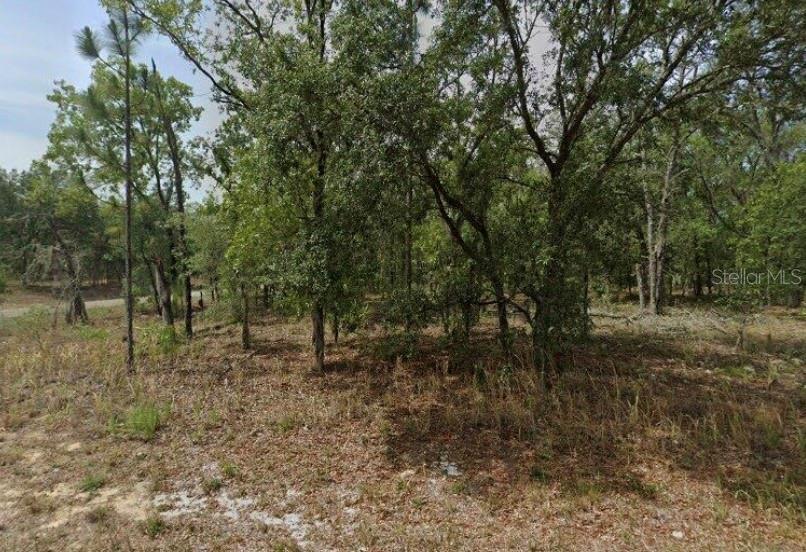 1592 W Swanson Dr Property Photo 1