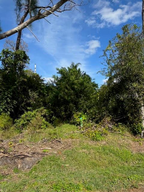 Cedar Ave Property Photo 5
