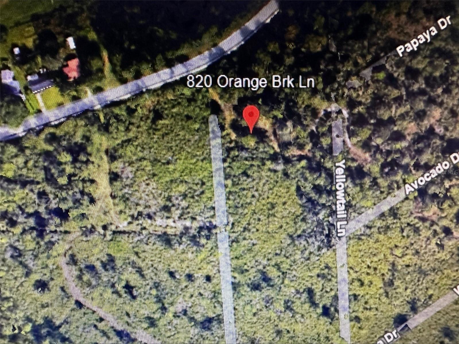 820 Orange Brook Lane Property Photo 2