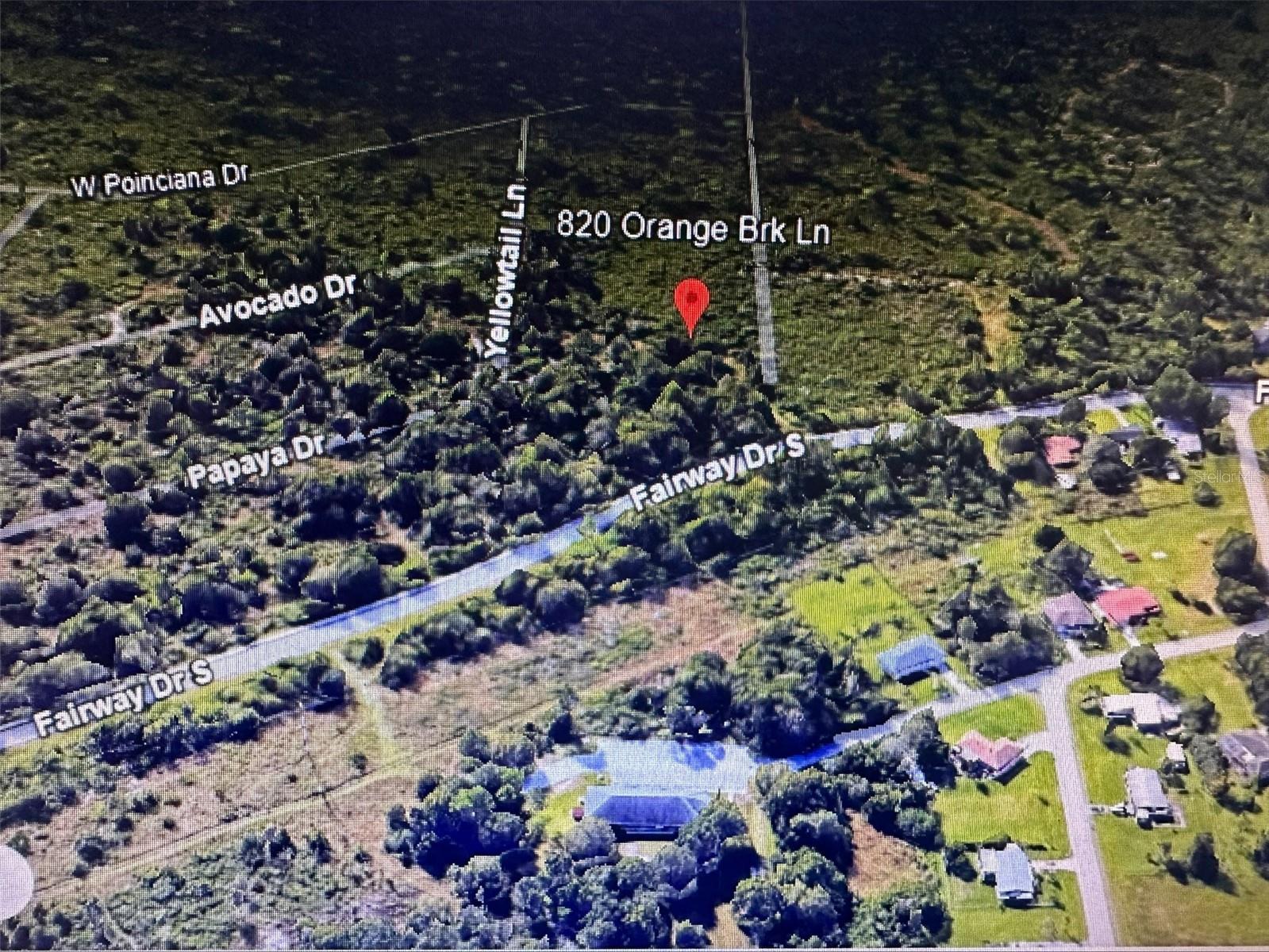 820 Orange Brook Lane Property Photo 4