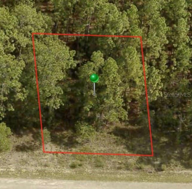 1233 W RILEY DR Property Photo 1