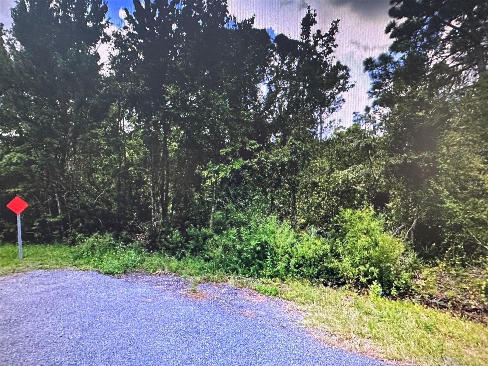 HINES DR