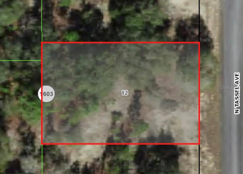 6706 N Tassel Ter Property Photo 1