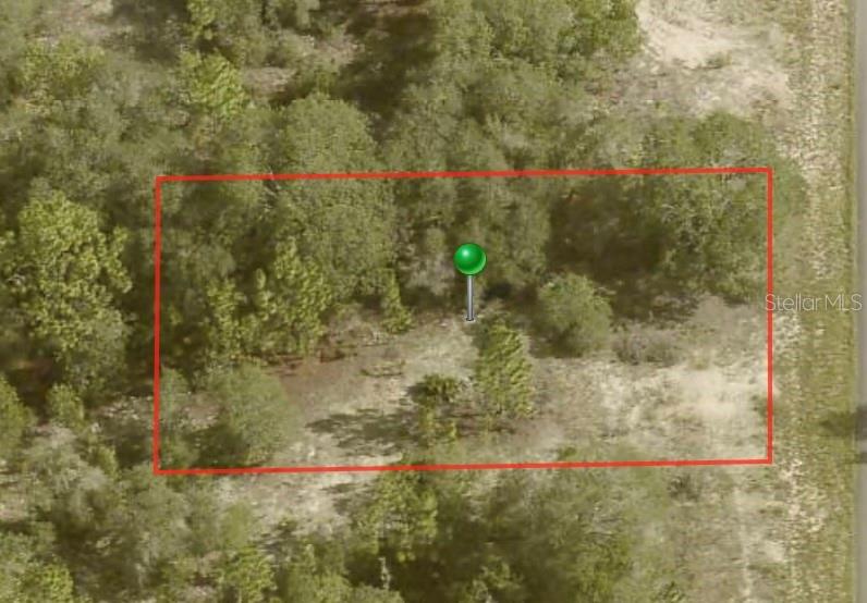6706 N Tassel Ter Property Photo 2