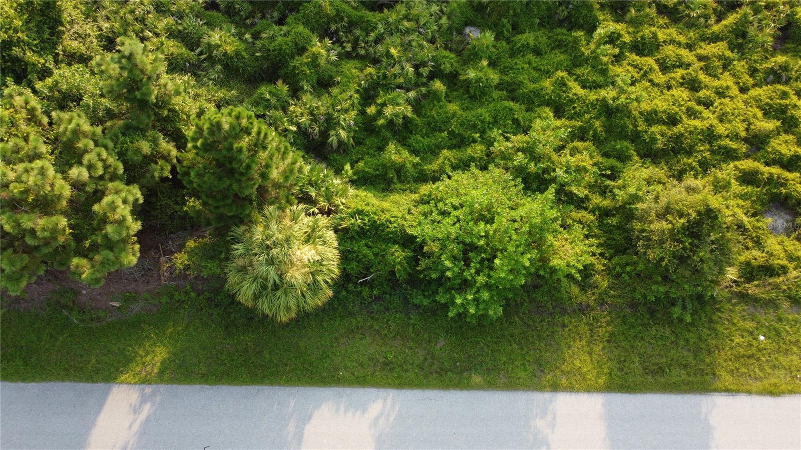 Lot 30 Clovelon St Property Photo 1