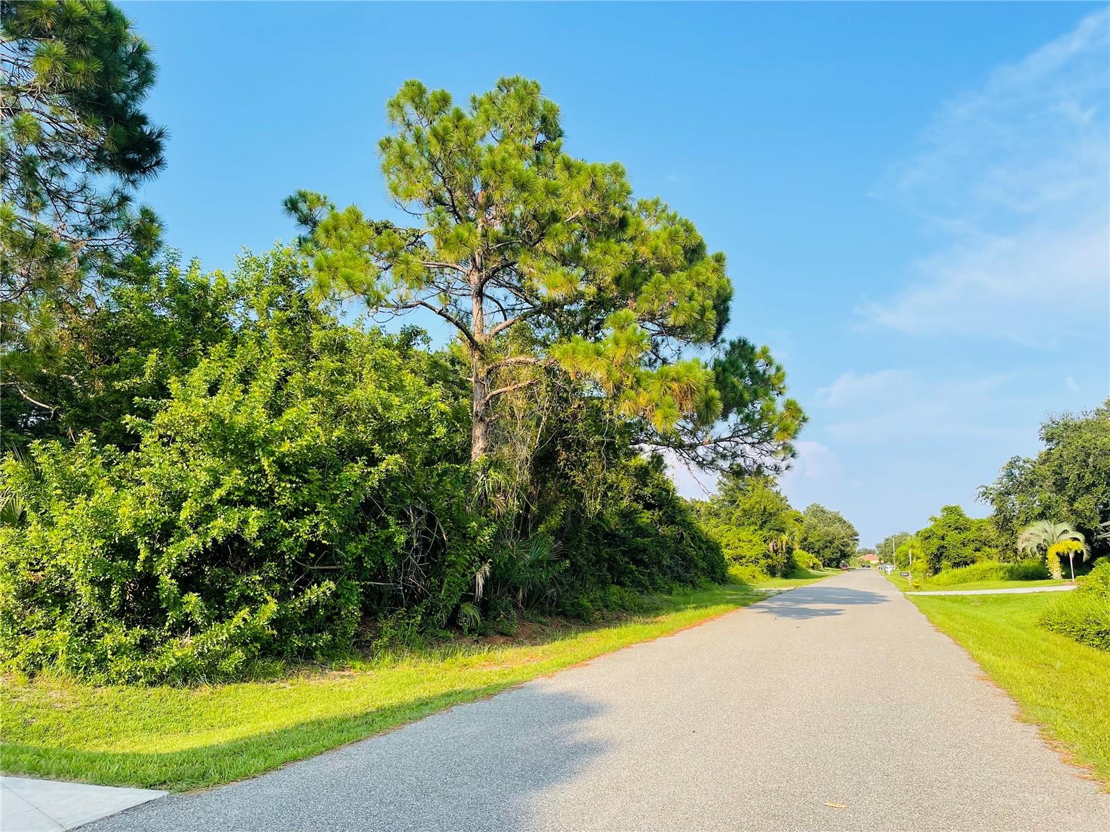 Lot 12 Attalla Ave Property Photo