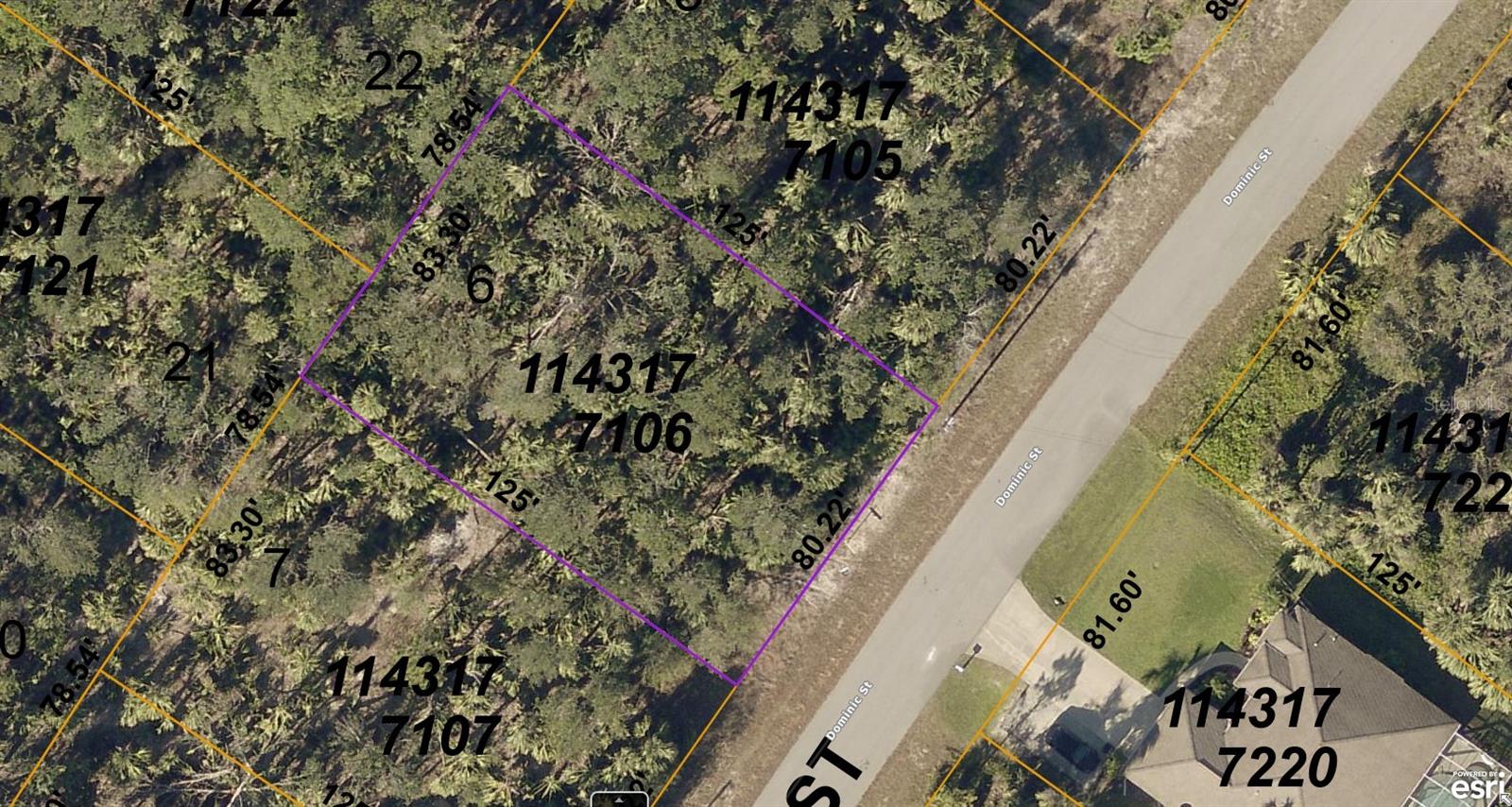 1143177106 Dominic St Property Photo 1