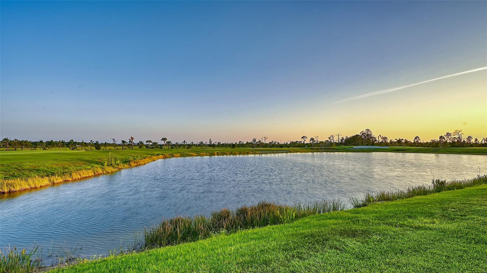 12453 Wellen Golf St Property Photo 51