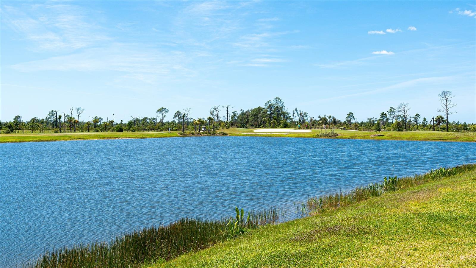 12453 Wellen Golf St Property Photo 58