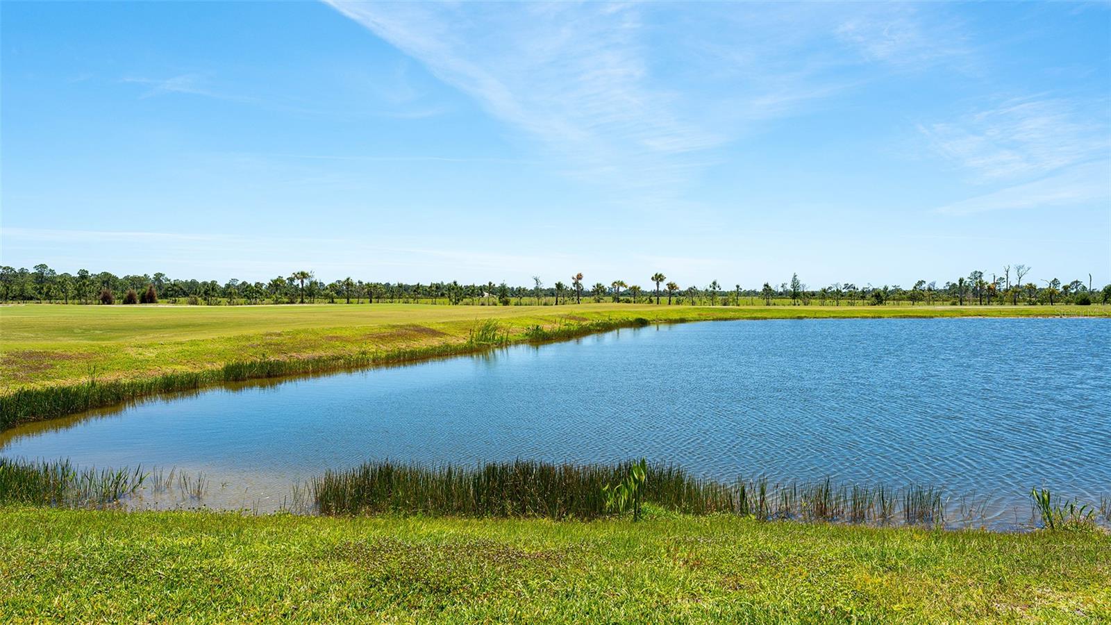 12453 Wellen Golf St Property Photo 59