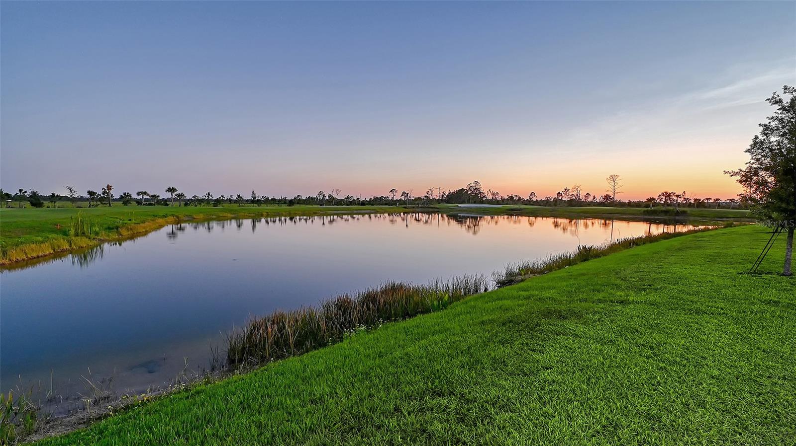 12453 Wellen Golf St Property Photo 60
