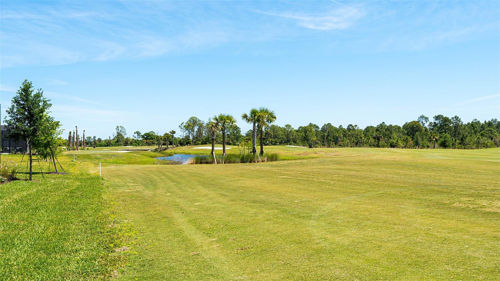 12453 Wellen Golf St Property Photo 61
