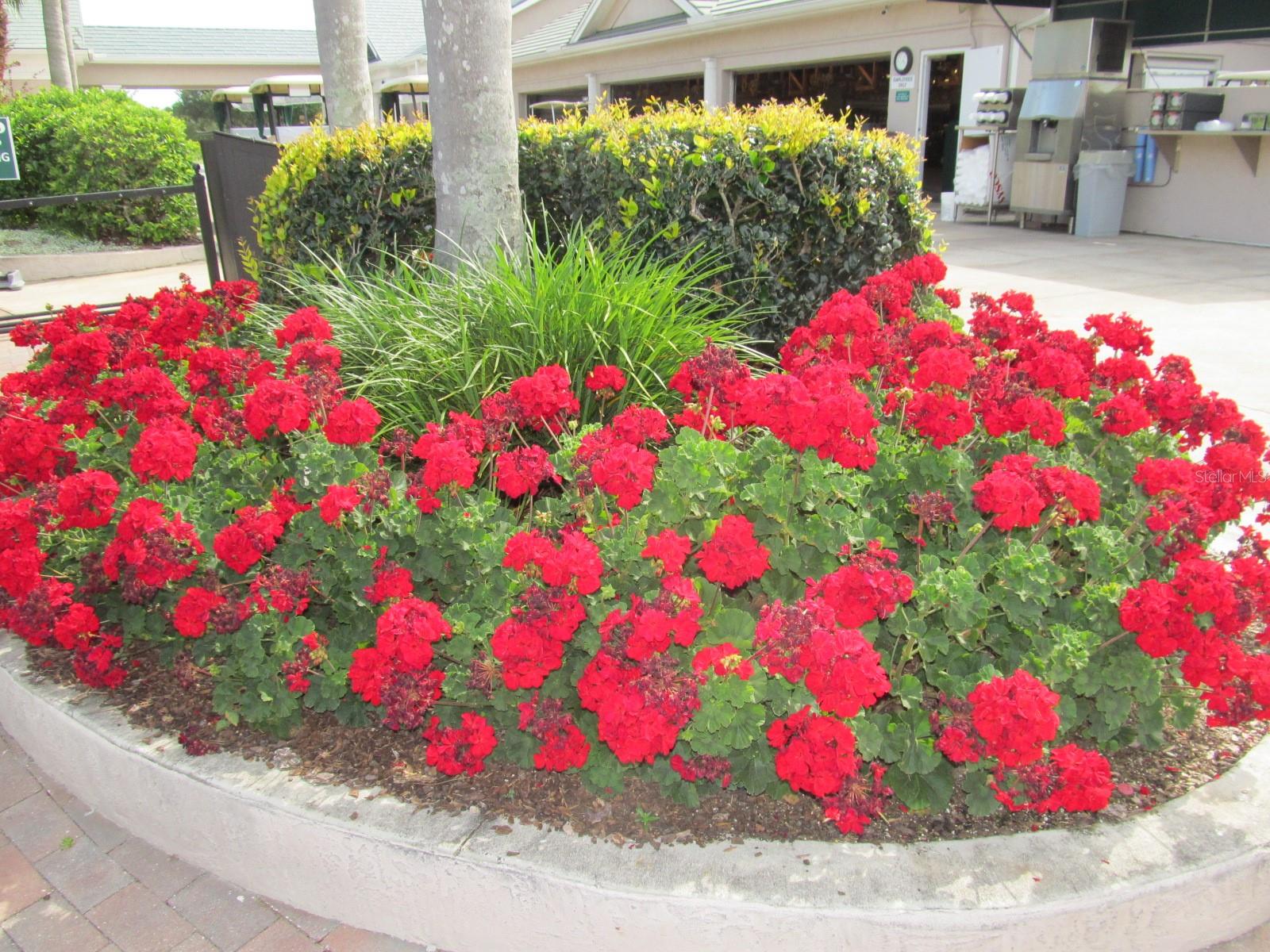 6503 Stone River Rd #109 Property Photo 63