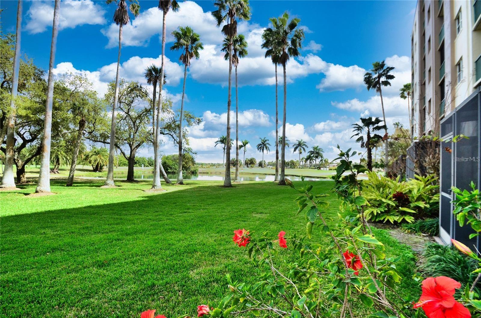 2320 Terra Ceia Bay Blvd #203 Property Photo 31