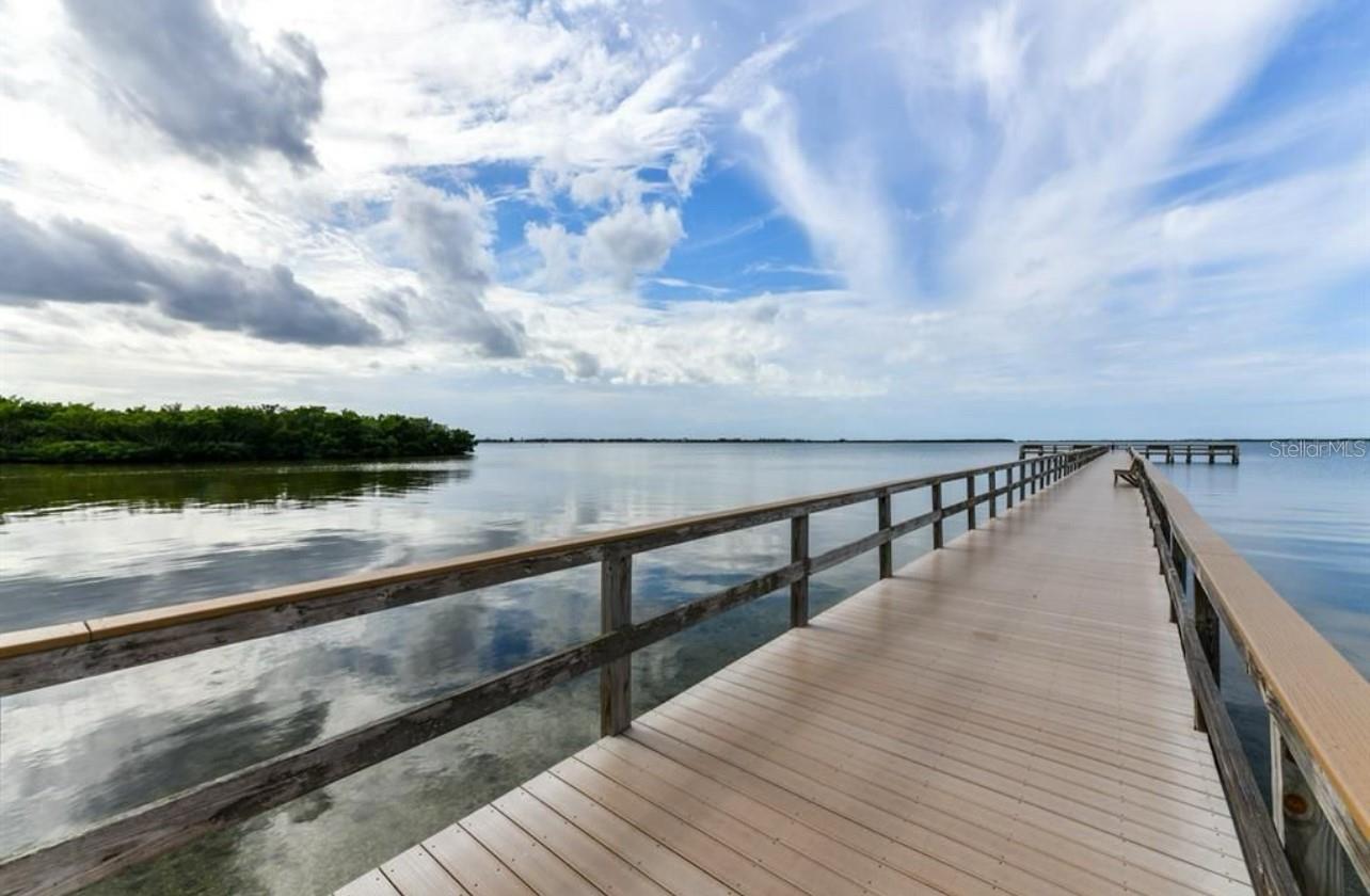 2320 Terra Ceia Bay Blvd #203 Property Photo 38