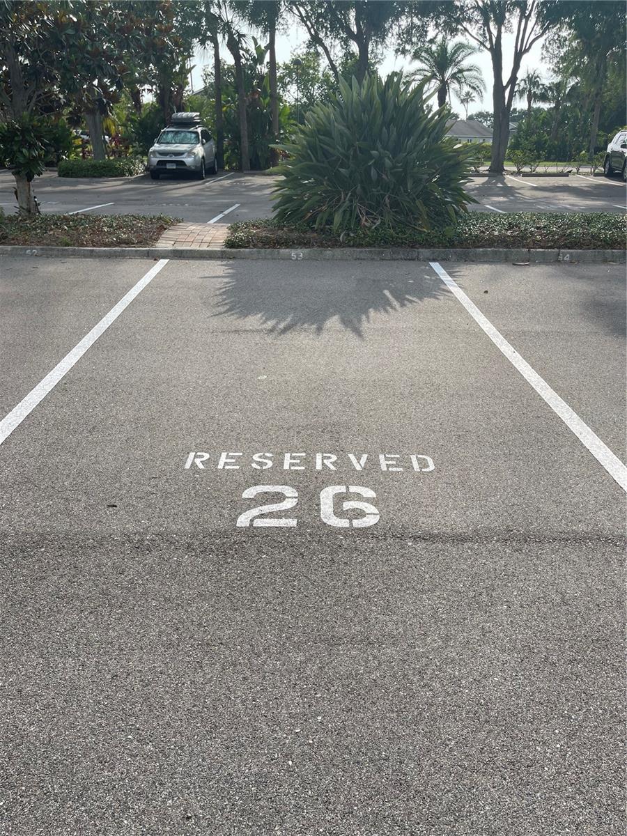 2320 Terra Ceia Bay Blvd #203 Property Photo 41