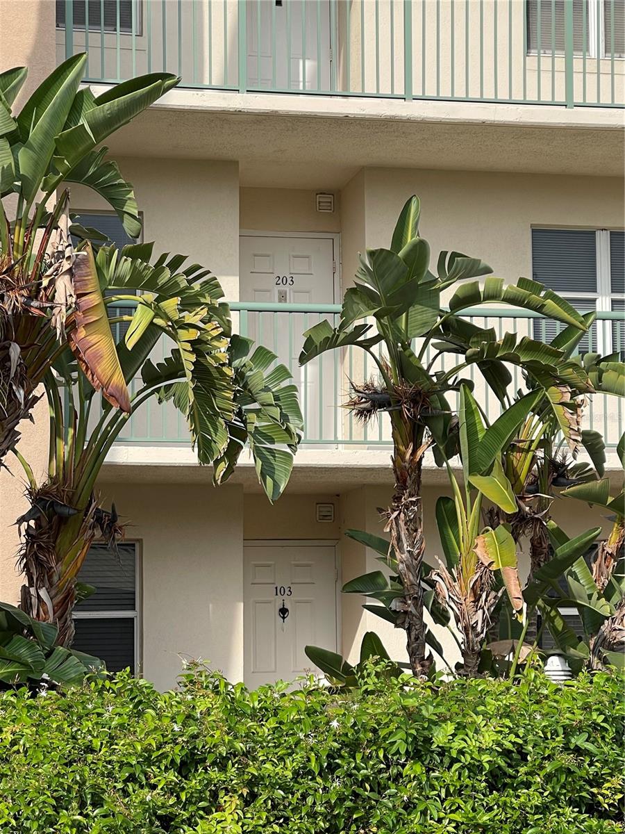 2320 Terra Ceia Bay Blvd #203 Property Photo 42