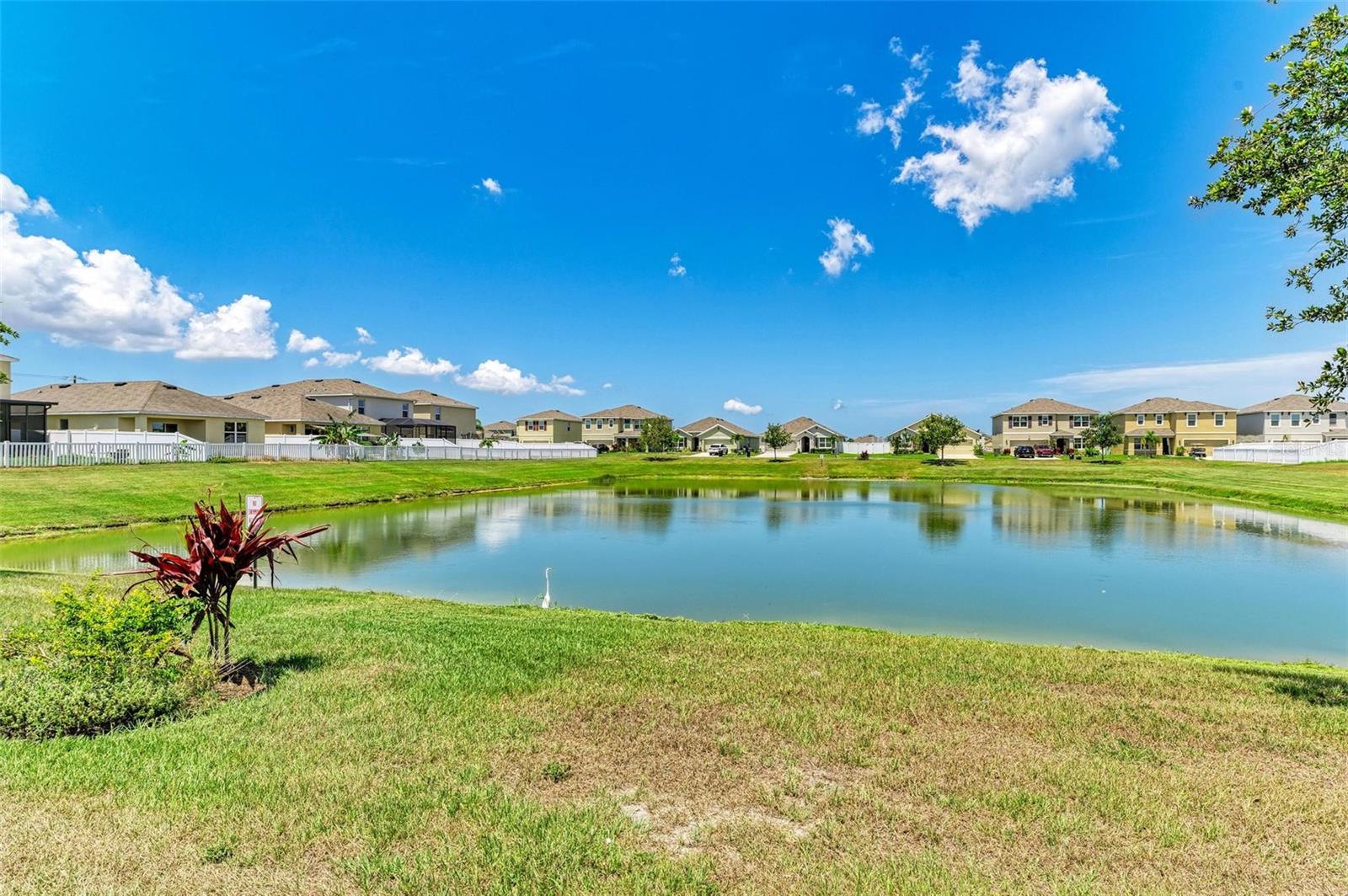 3902 Willow Hammock Dr Property Photo 28