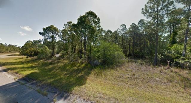 Blueleaf Dr Property Photo 1