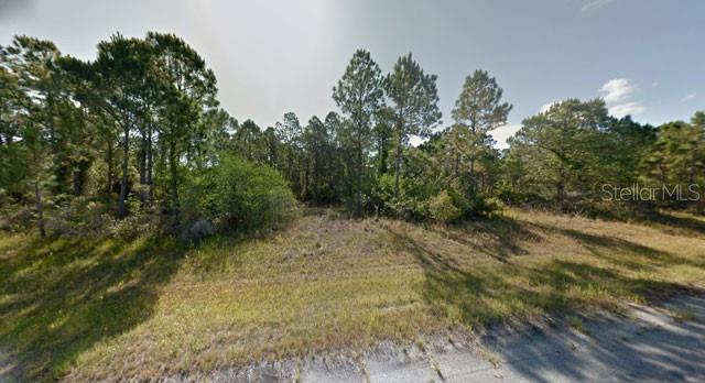 Blueleaf Dr Property Photo 2