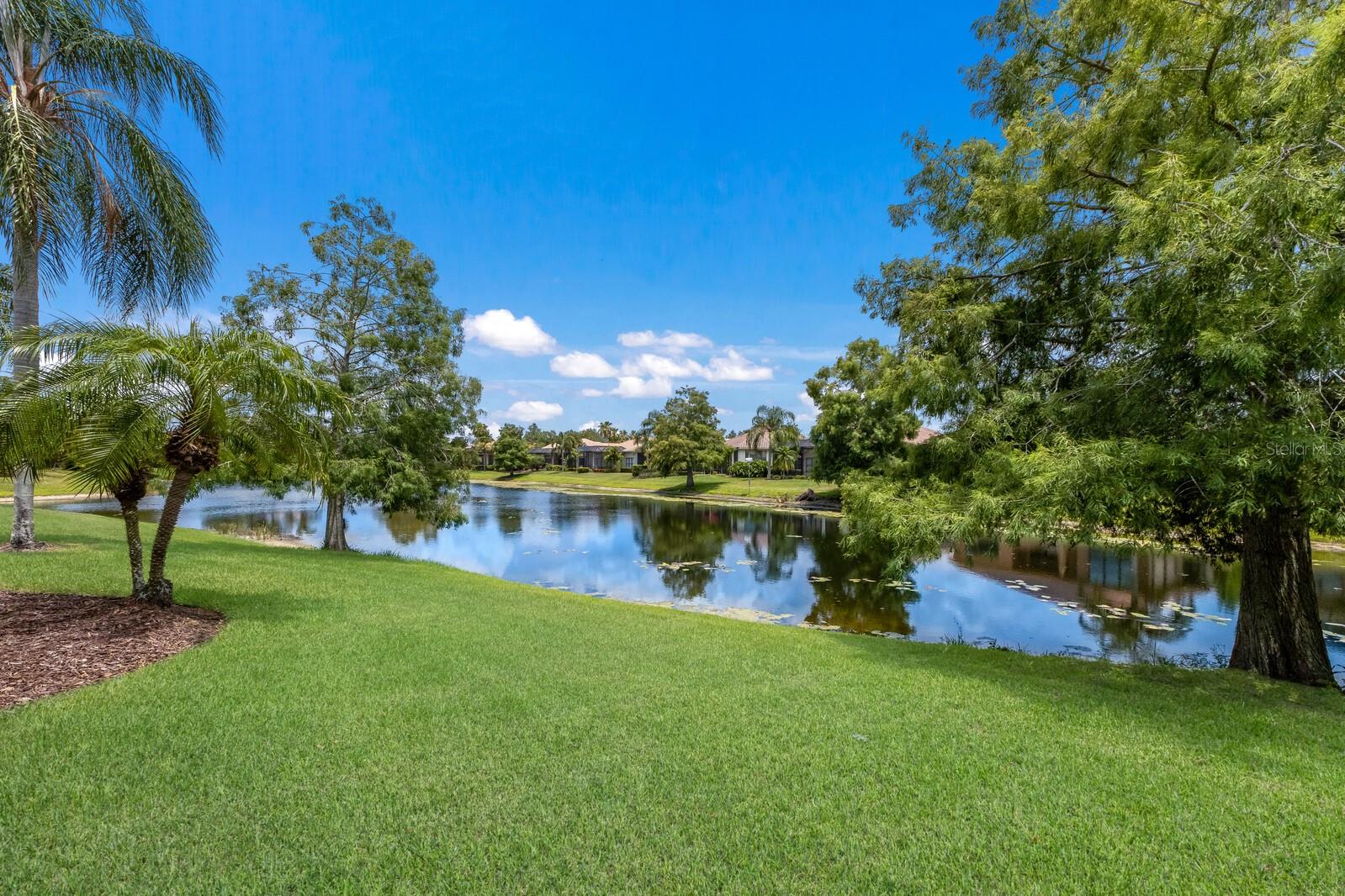 7167 Whitemarsh Cir Property Photo 10