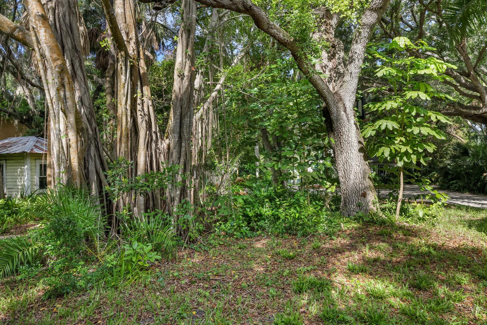 3301 Bay Shore Rd Property Photo 7