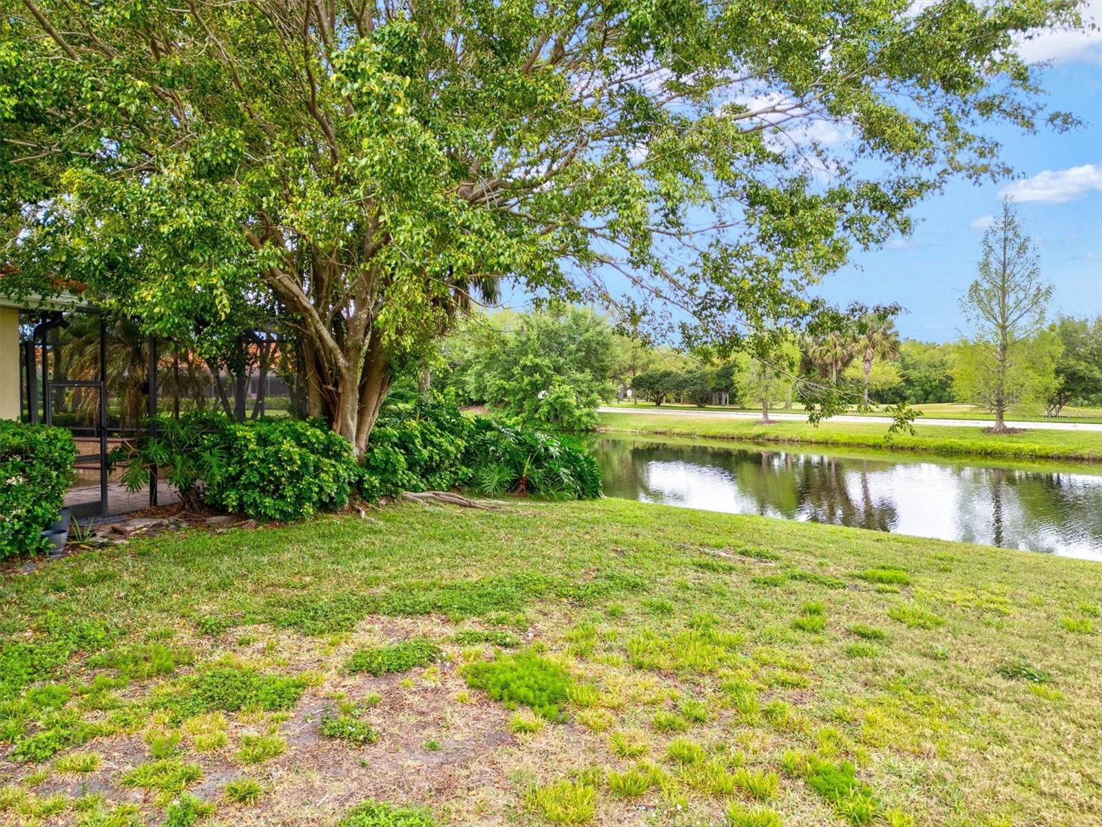 10115 Day Lily Ct Property Photo 57
