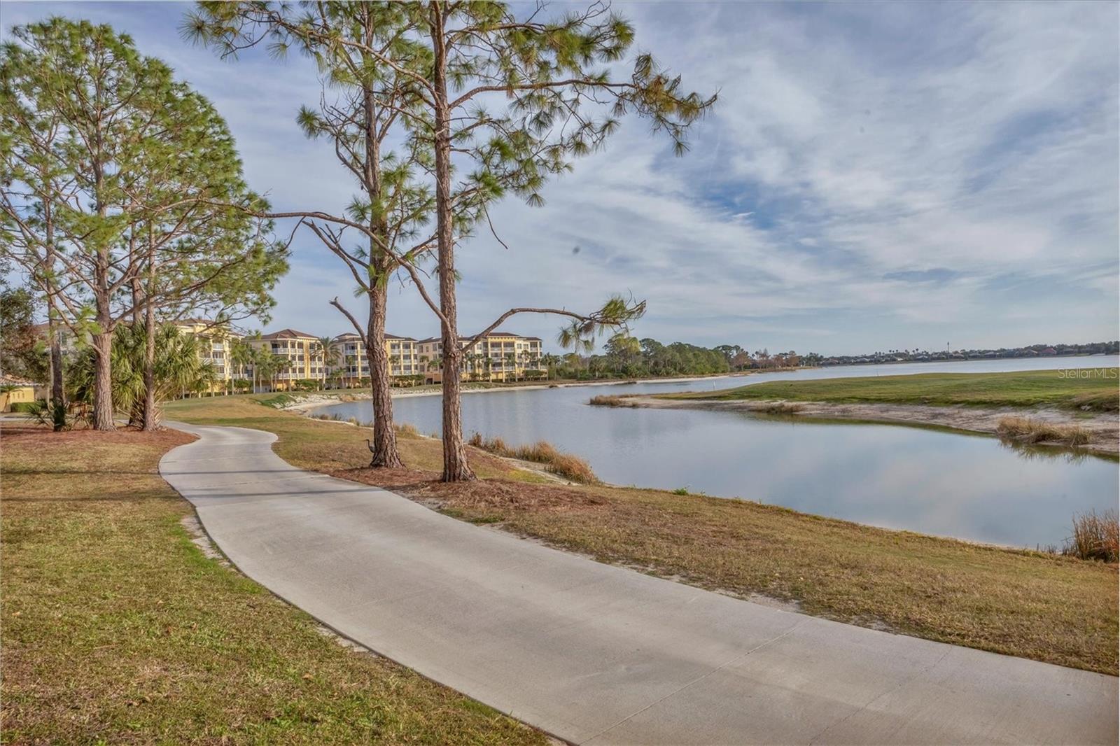 6438 Watercrest Way #204 Property Photo 57